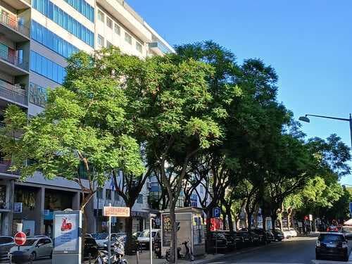 PF38050 - Apartamento T3 com vista, Avenidas Novas, Lisboa - Imagem 27
