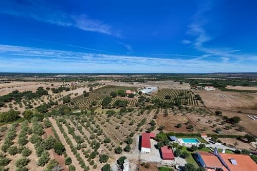 PF38096 - Ferme 9.6 ha, Foros de Vale Figueira, Montemor-o-Novo - Image 35