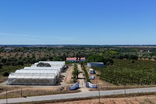PF38096 - Ferme 9.6 ha, Foros de Vale Figueira, Montemor-o-Novo - Image 36