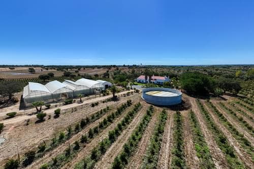 PF38096 - Ferme 9.6 ha, Foros de Vale Figueira, Montemor-o-Novo - Image 37
