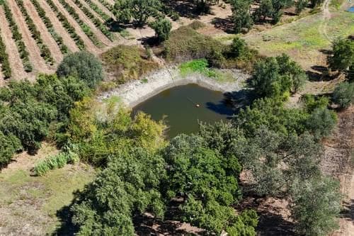PF38096 - Ferme 9.6 ha, Foros de Vale Figueira, Montemor-o-Novo - Image 38