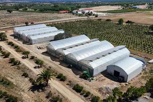 PF38096 - Ferme 9.6 ha, Foros de Vale Figueira, Montemor-o-Novo - Image 39