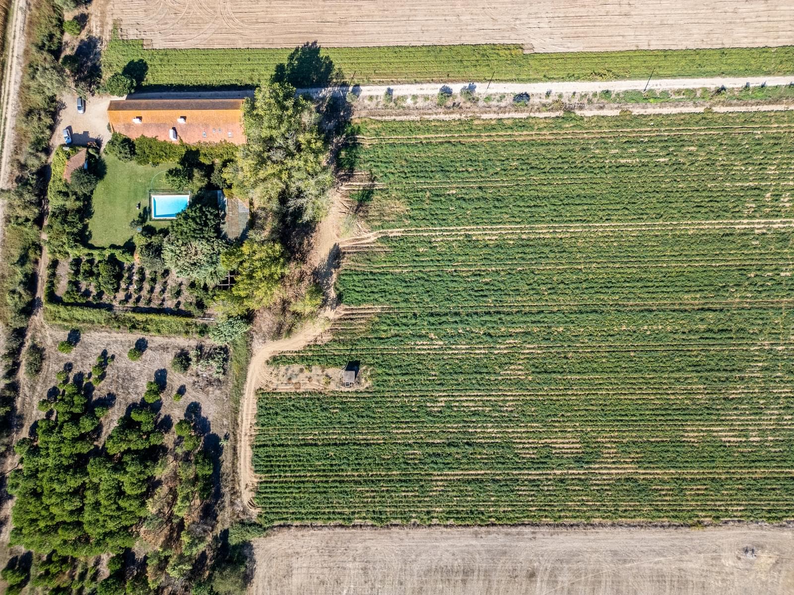 Quinta 24.8 ha, Almeirim - Imagem 8