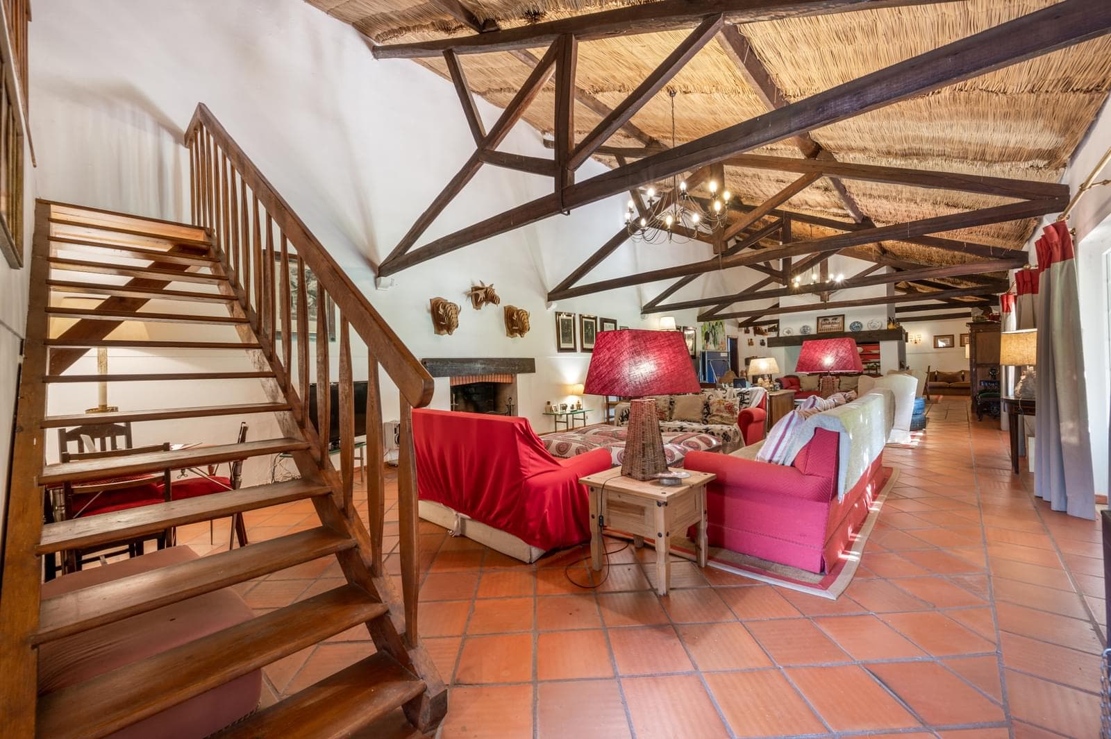 Quinta 24.8 ha, Almeirim - Imagem 18