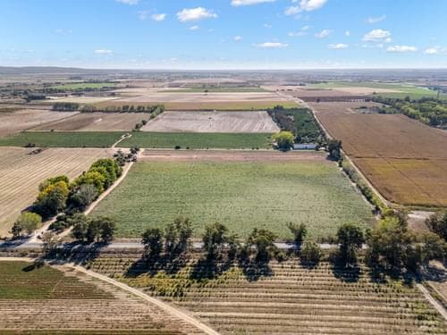 PF38268 - Ferme 24.8 ha, Almeirim - Image 9