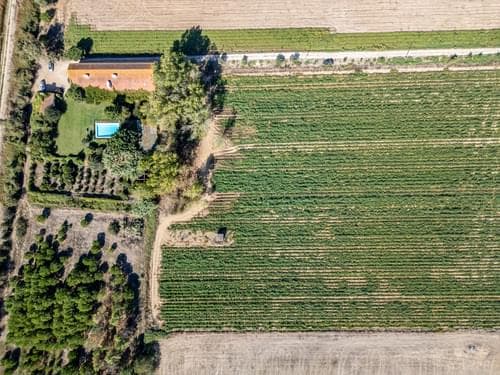 PF38268 - Ferme 24.8 ha, Almeirim - Image 8