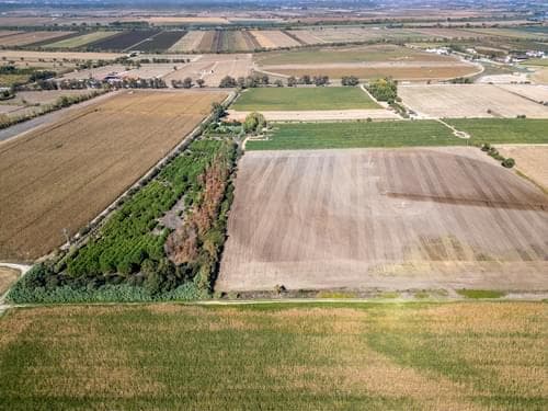 PF38268 - Ferme 24.8 ha, Almeirim - Image 11
