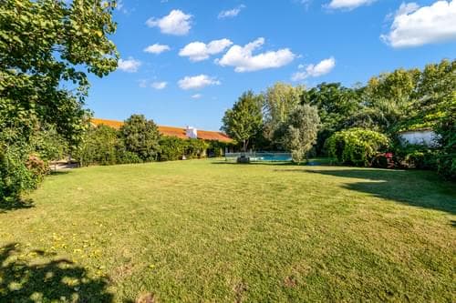 PF38268 - Ferme 24.8 ha, Almeirim - Image 7