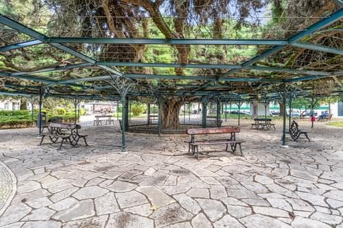 PF39161 - Apartamento T2 com varanda, Príncipe Real, Lisboa - Imagem 27