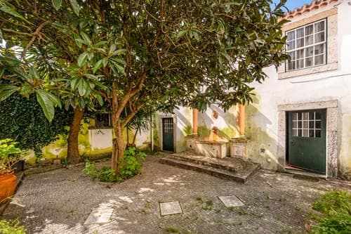 PF39164 - Quinta 1391 m2, Dois Portos, Torres Vedras - Imagem 36