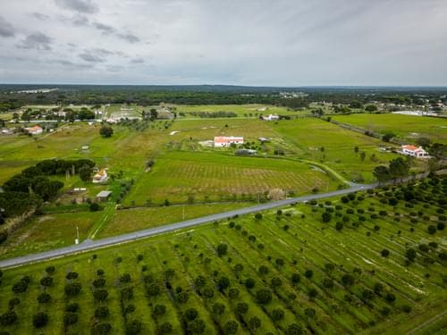 PF39244 - Moradia T3 com jardim, Grandola - Imagem 30