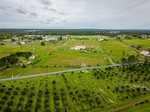 PF39244 - Moradia T3 com jardim, Grandola - Imagem 31