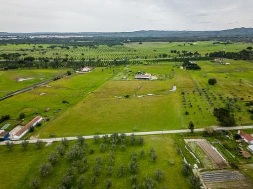 PF39244 - Moradia T3 com jardim, Grandola - Imagem 35