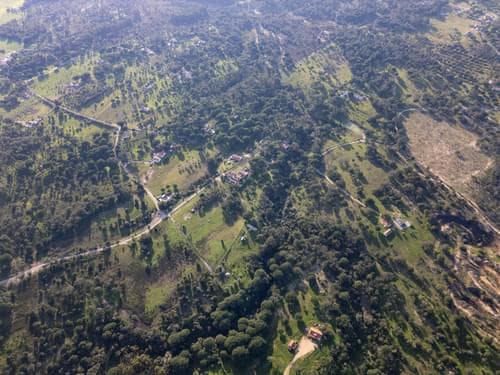 PF39252 - Terrain mixte 1.8 ha, Melides, Grandola - Image 20