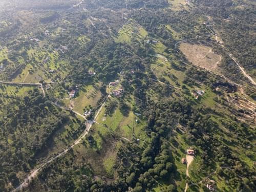 PF39252 - Terrain mixte 1.8 ha, Melides, Grandola - Image 21