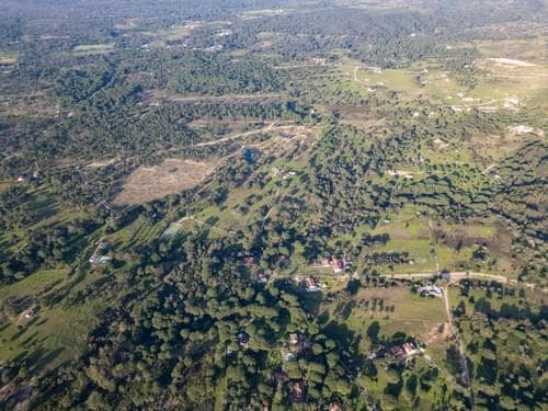 PF39252 - Terrain mixte 1.8 ha, Melides, Grandola - Image 15