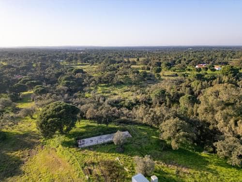 PF39252 - Terrain mixte 1.8 ha, Melides, Grandola - Image 4