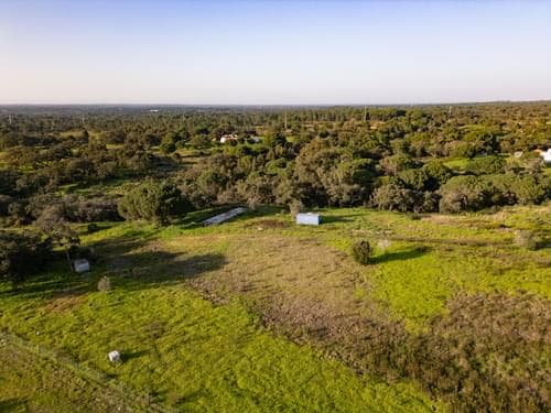 PF39252 - Terrain mixte 1.8 ha, Melides, Grandola - Image 5