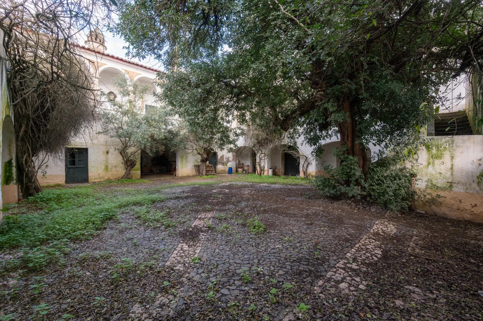 Palacete, Reguengos de Monsaraz - Imagem 29