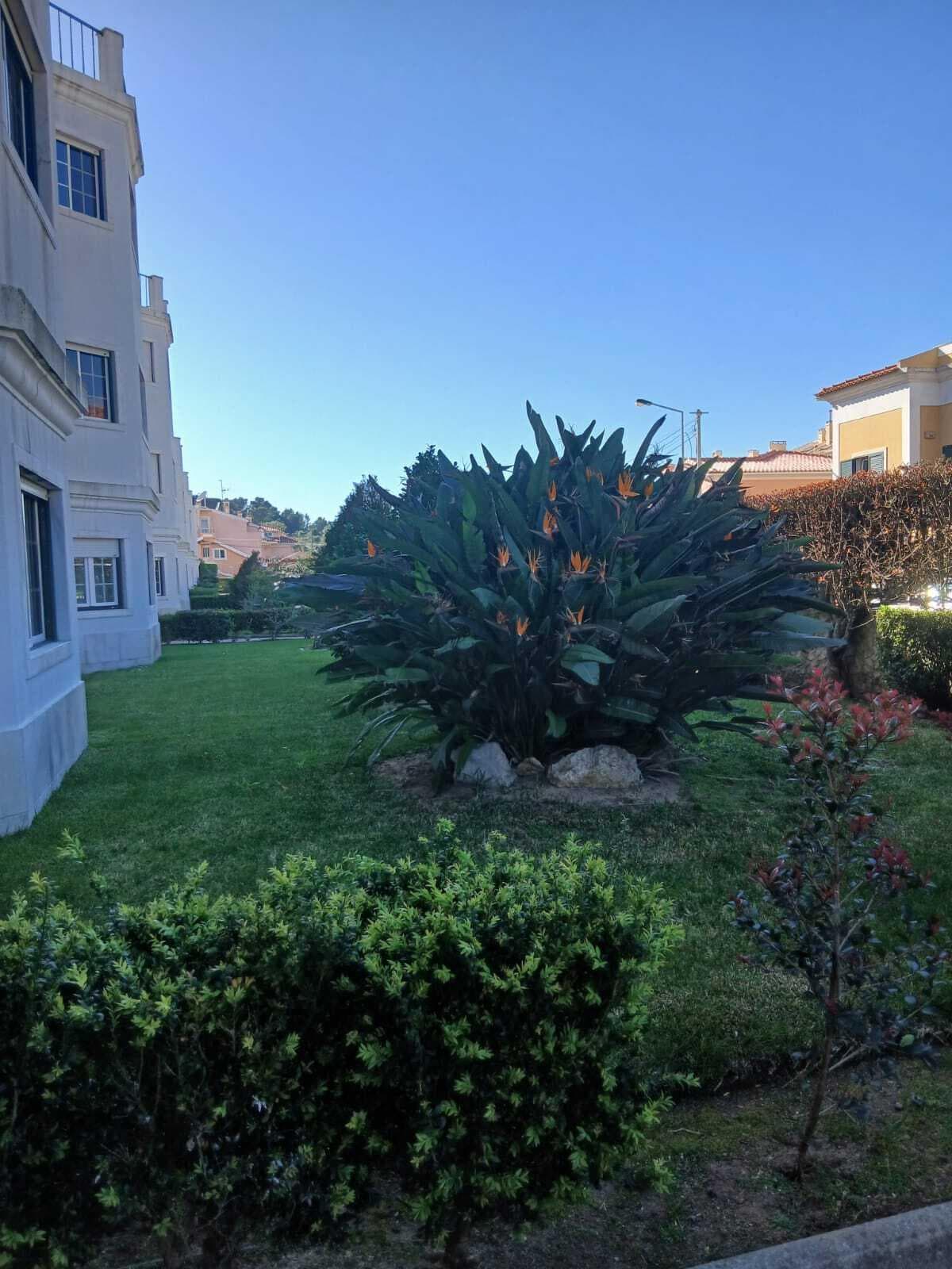 Apartamento T3 com estacionamento, Alapraia, Cascais - Imagem 16