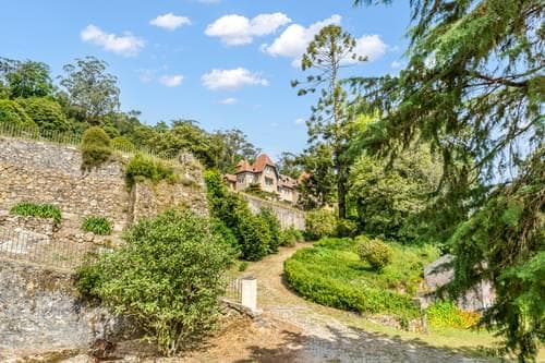 PF40102 - Ferme 5.9 ha, Sintra - Image 28