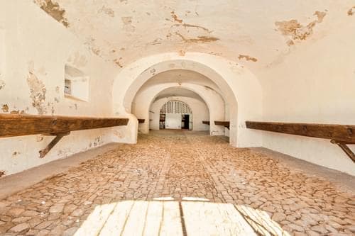 PF40111 - Mansion, Cabeço de Vide, Fronteira - Image 55