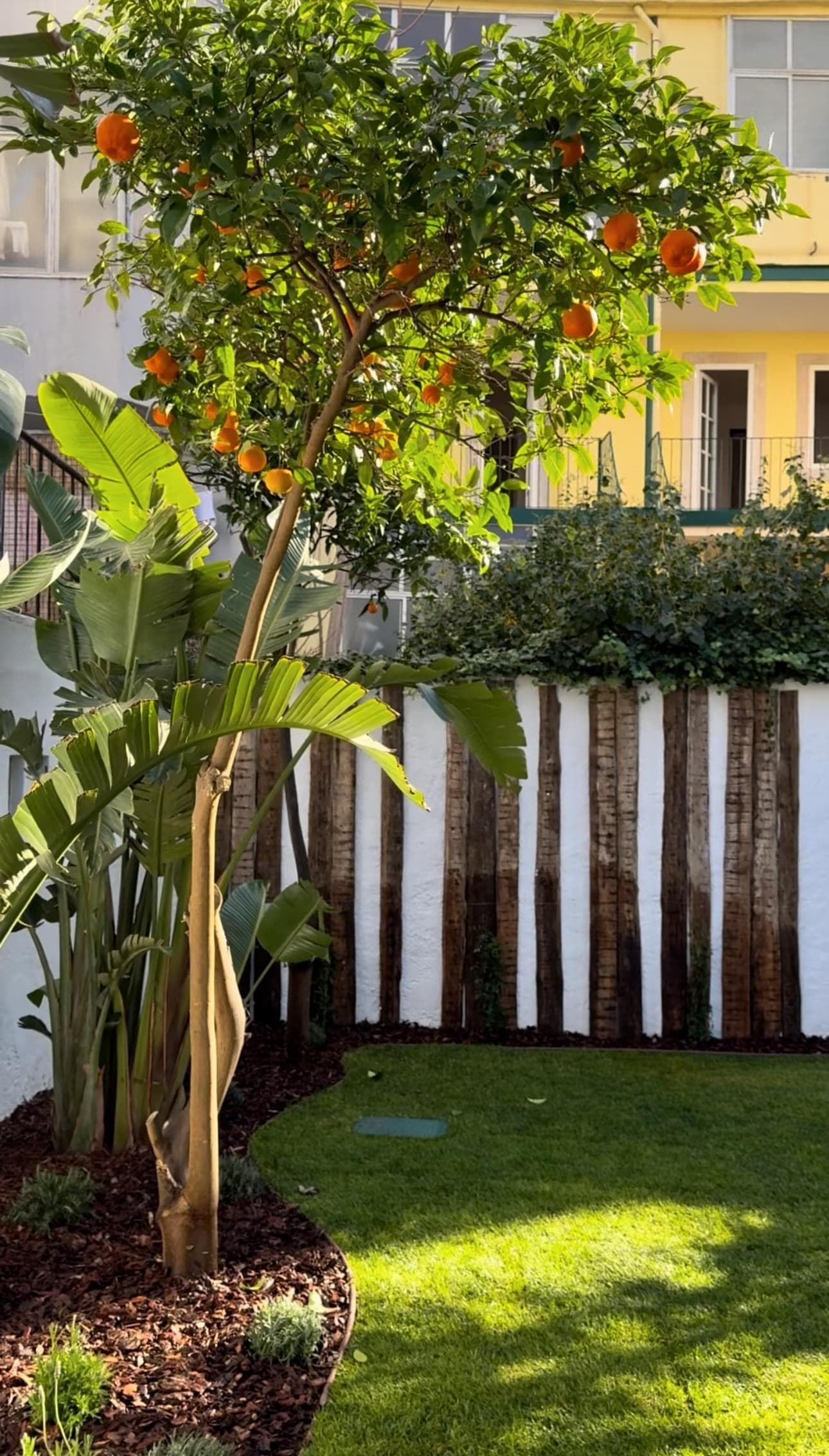 Apartamento T2 + 1 com jardim, Graça, Lisboa - Imagem 33