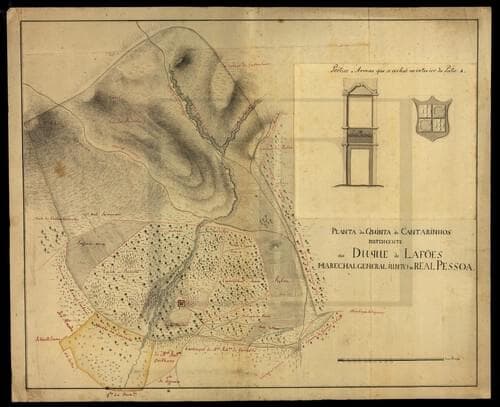PF40261 - Ferme 103.2 ha, Portalegre - Image 39