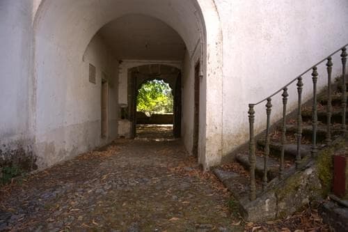 PF40261 - Ferme 103.2 ha, Portalegre - Image 24