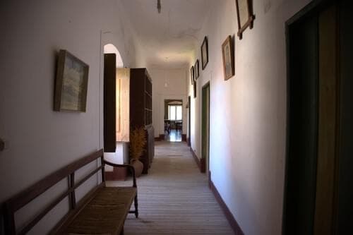 PF40261 - Ferme 103.2 ha, Portalegre - Image 7