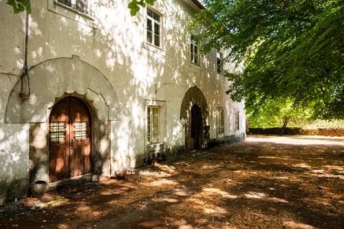 PF40261 - Ferme 103.2 ha, Portalegre - Image 3