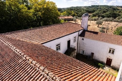PF40261 - Ferme 103.2 ha, Portalegre - Image 9