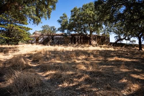 PF40261 - Ferme 103.2 ha, Portalegre - Image 25