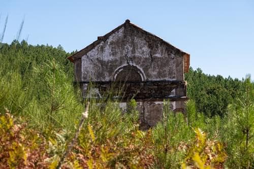 PF40261 - Ferme 103.2 ha, Portalegre - Image 26