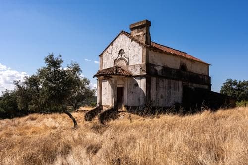 PF40261 - Ferme 103.2 ha, Portalegre - Image 27