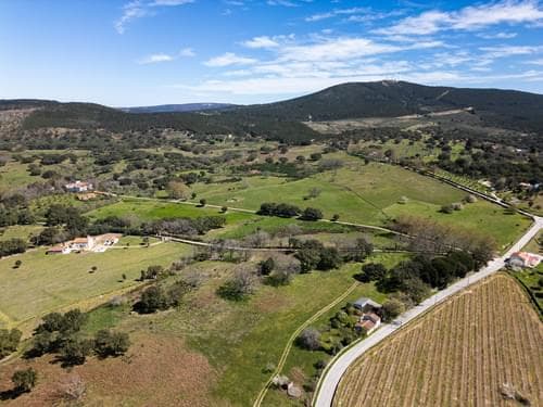PF40261 - Ferme 103.2 ha, Portalegre - Image 18