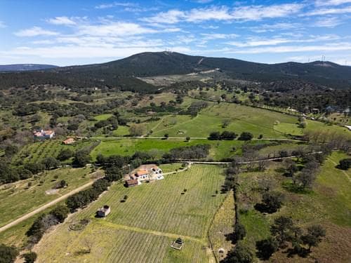 PF40261 - Ferme 103.2 ha, Portalegre - Image 19