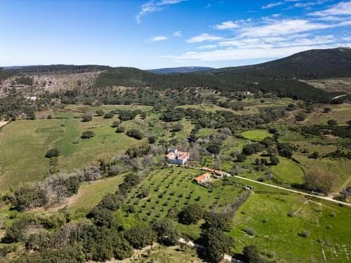 PF40261 - Ferme 103.2 ha, Portalegre - Image 16