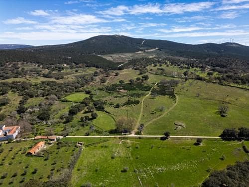PF40261 - Ferme 103.2 ha, Portalegre - Image 20