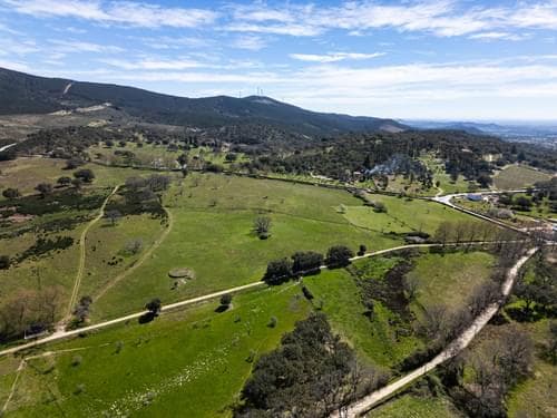 PF40261 - Ferme 103.2 ha, Portalegre - Image 21