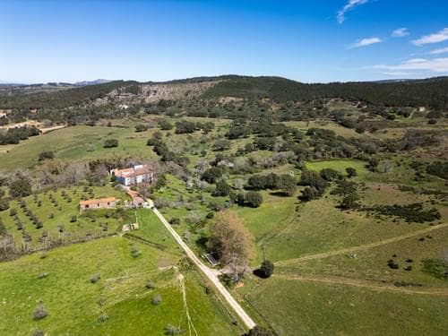 PF40261 - Ferme 103.2 ha, Portalegre - Image 1