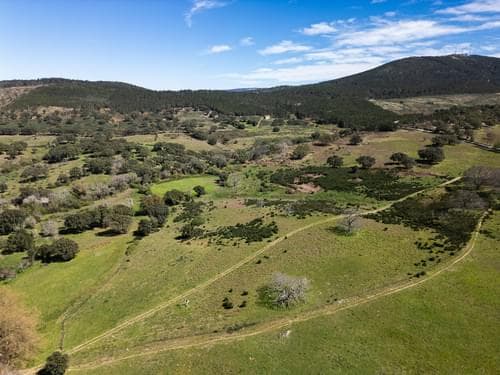 PF40261 - Ferme 103.2 ha, Portalegre - Image 22