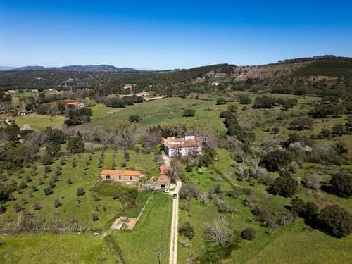 PF40261 - Ferme 103.2 ha, Portalegre - Image 2