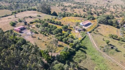 PF40264 - Ferme 1.5 ha, Santiago do Cacém, Santiago do Cacem - Image 39