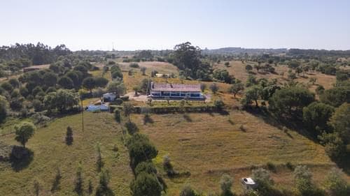 PF40264 - Ferme 1.5 ha, Santiago do Cacém, Santiago do Cacem - Image 28