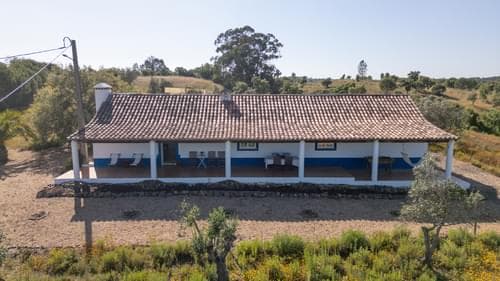 PF40264 - Ferme 1.5 ha, Santiago do Cacém, Santiago do Cacem - Image 2