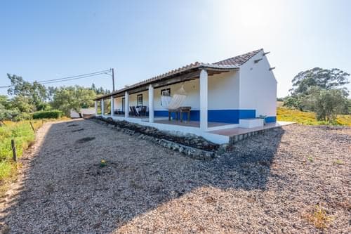 PF40264 - Ferme 1.5 ha, Santiago do Cacém, Santiago do Cacem - Image 24