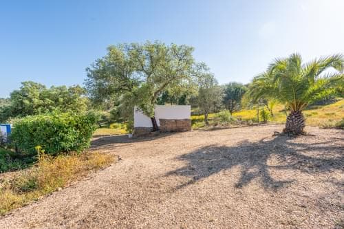 PF40264 - Ferme 1.5 ha, Santiago do Cacém, Santiago do Cacem - Image 21
