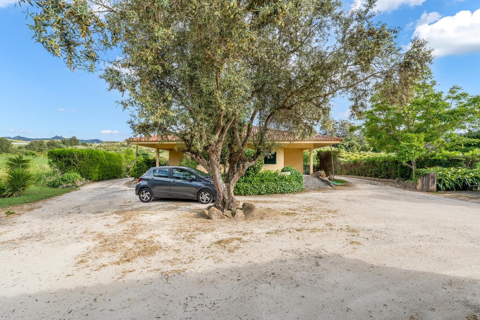 Herdade 1.4 ha, Mucifal, Sintra - Imagem 19