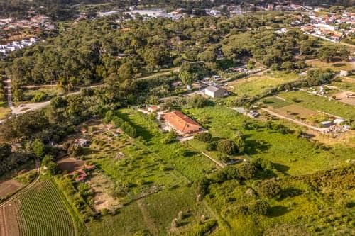 PF40273 - Herdade 1.4 ha, Mucifal, Sintra - Imagem 6